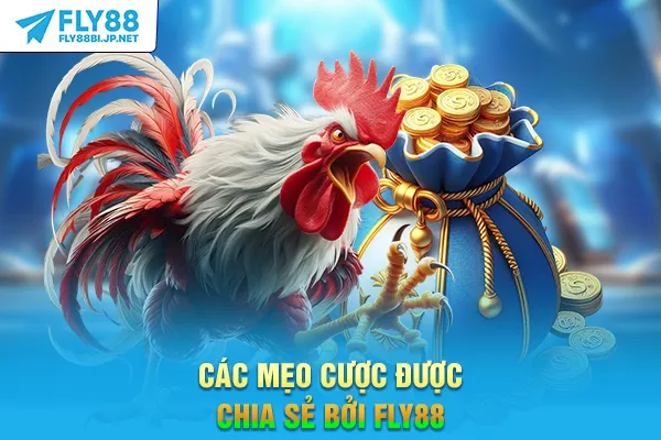Các mẹo cược được chia sẻ bởi FLY88