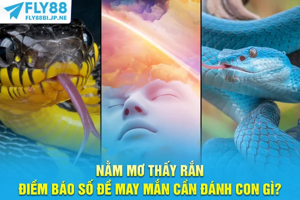 Nằm Mơ Thấy Rắn - Điềm Báo Số Đề May Mắn Cần Đánh Con Gì?